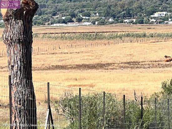 Parcela rústica ideal para Caballos, ganado. - CADIZ