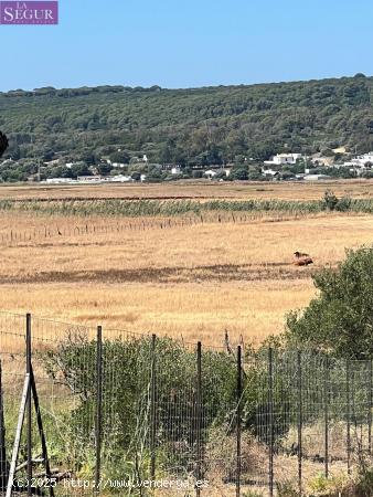 Parcela rústica ideal para Caballos, ganado. - CADIZ