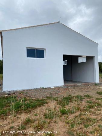 Finca rústica con nave de 150 m2 en perfecto  estado. - CADIZ