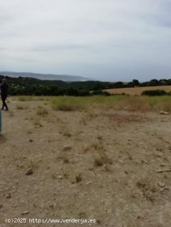 PARCELA RÚSTICAEN ZONA MONTECOTE (VEJER DE LA FRONTERA) - CADIZ