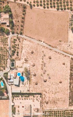 FINCA EN VENTA  CON CASI 20.000M2 Y CASI 500M2 DE CASA EN MATOLA - ALICANTE