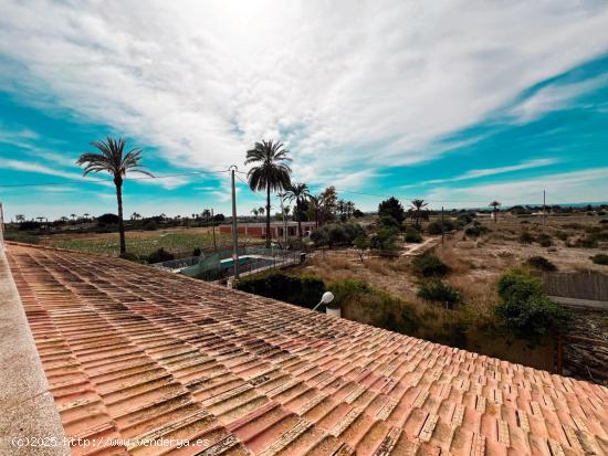 FINCA EN VENTA  CON CASI 20.000M2 Y CASI 500M2 DE CASA EN MATOLA - ALICANTE