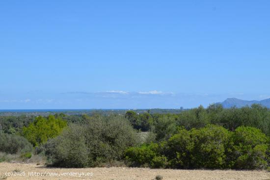 Finca rústica con maravillosas vistas a la Serra de Tramuntana y la bahia de Alcudia en Muro - BALE