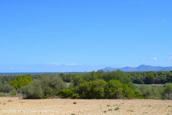 Finca rústica con maravillosas vistas a la Serra de Tramuntana y la bahia de Alcudia en Muro - BALE