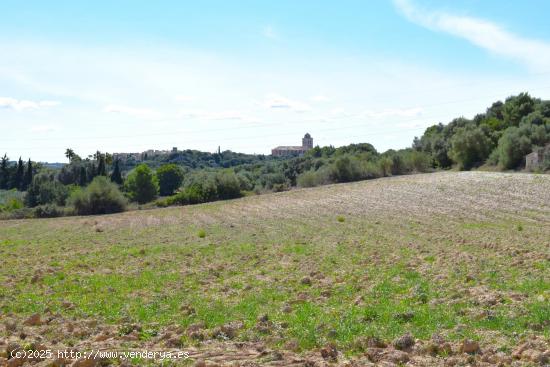 Finca rústica con maravillosas vistas a la Serra de Tramuntana y la bahia de Alcudia en Muro - BALE