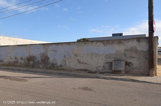 Solar en venta en Muro - BALEARES