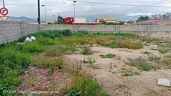 Solar en venta en Muro - BALEARES