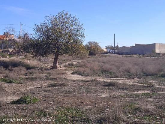 TERRENO RURAL EN PUERTO LUMBRERAS - MURCIA