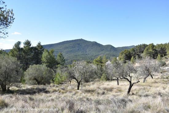 Se Vende en Fuentespalda - TERUEL