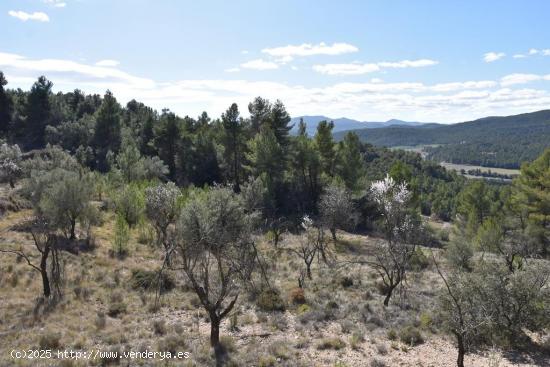 Se Vende en Fuentespalda - TERUEL