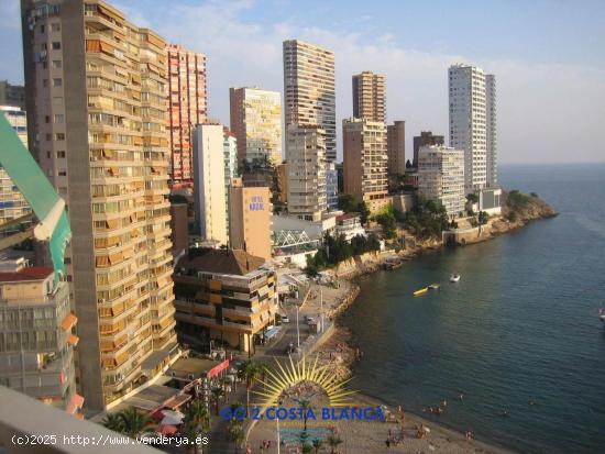 Se Vende en Benidorm - ALICANTE