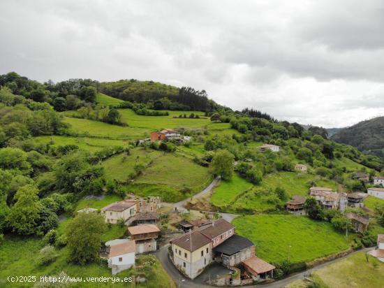 TERRENO URBANO TARAÑO (GRADO) - ASTURIAS