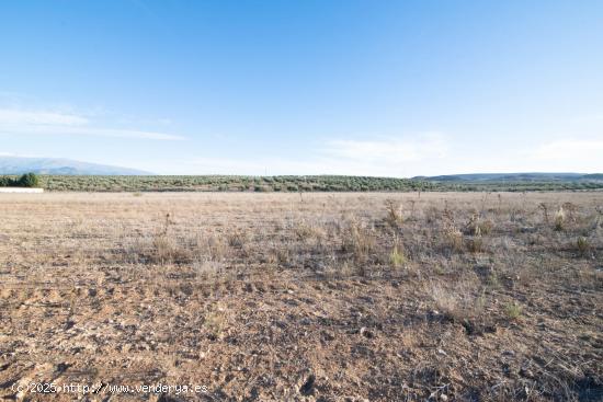 VENTA DE 21.500 M2 DE SUELO INDUSTRIAL EN EL PARQUE METROPOLITRANO DE ESCUZAR (GRANADA) - GRANADA