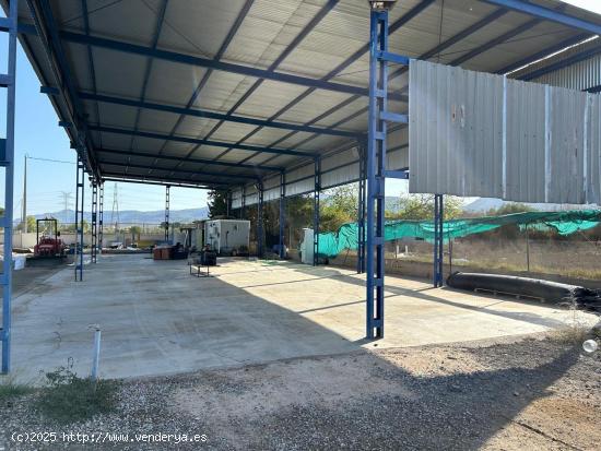 TERRENO AGRARIO EN VENTA EN EL PALMAR (MURCIA) - MURCIA