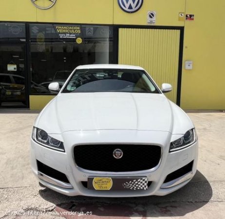 JAGUAR XF en venta en Murcia (Murcia) - Murcia