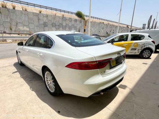 JAGUAR XF en venta en Murcia (Murcia) - Murcia