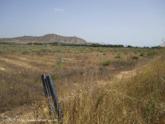 SE VENDE TERRENO EN ASPE - ALICANTE