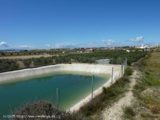 SE VENDE TERRENO CON ALBERGUE EN FORTUNA - MURCIA