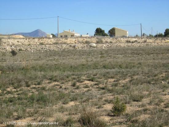 SE VENDE TERRENO EN LA ROMANA - ALICANTE