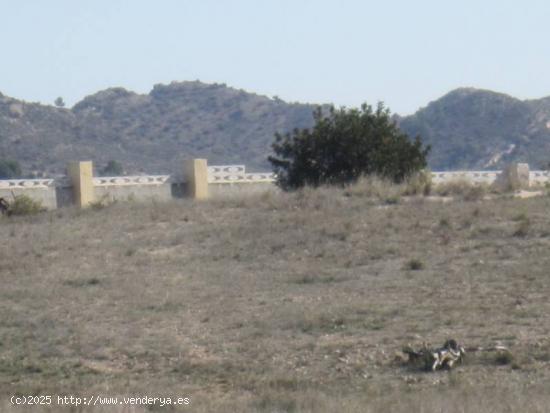 SE VENDE TERRENO EN LA ROMANA - ALICANTE