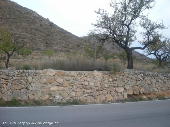 SE VENDE TERRENO EN ASPE - ALICANTE