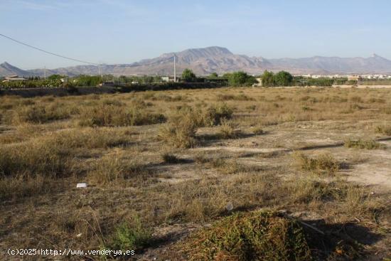 SE VENDE TERRENO EN ASPE - ALICANTE