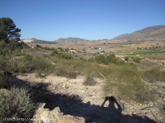 SE VENDE TERRENO EN HONDON DE LAS NIEVES - ALICANTE