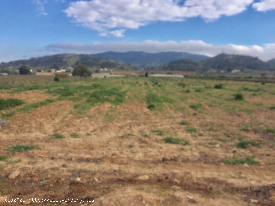 SE VENDE TERRENO EN HONDÓN DE LAS NIEVES - ALICANTE