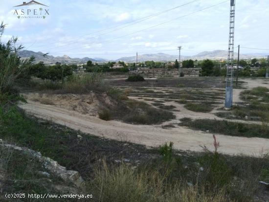 SE VENDE TERRENO URBANIZABLE - ALICANTE