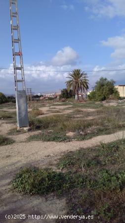 SE VENDE TERRENO URBANIZABLE - ALICANTE