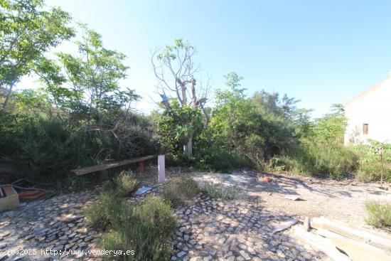 terreno en monforte con pequeño albergue y aljibe - ALICANTE