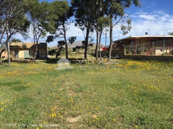 FINCA TERRENO URBANO EN ORITO, MONFORTE DEL CID, ALICANTE - ALICANTE