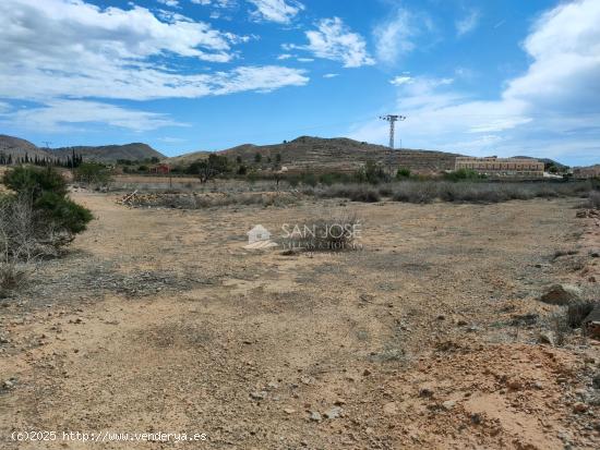 INMOBILIARIA SAN JOSE VENDE FINCA RUSTICA CERCA DEL PUEBLO DE HONDON DE LAS NIEVES - ALICANTE