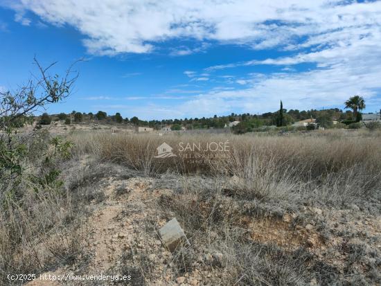 INMOBILIARIA SAN JOSE VENDE FINCA RUSTICAEN EL RINCON- HONDON DE LAS NIEVES - ALICANTE