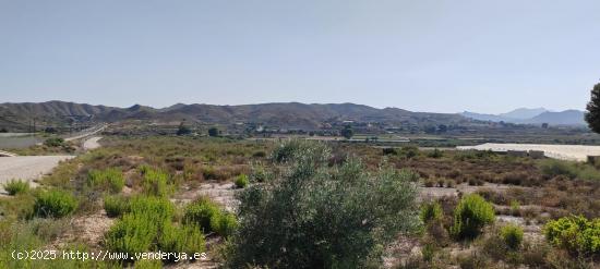 Se vende terreno rustico en muy buena zona a 20 minutos de alicante - ALICANTE