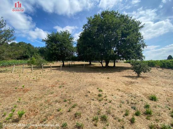 SE VENDE FINCA URBANIZABLE EN LA ZONA DE LAIAS - ORENSE