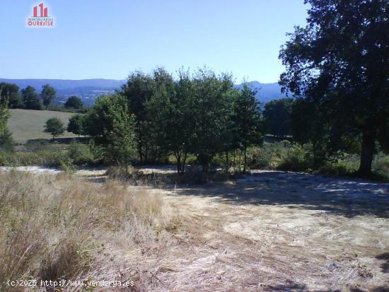 SE VENDE FINCA URBANIZABLE EN SAN MIGUEL DO CAMPO - ORENSE