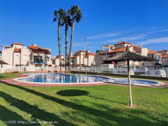 ORIHUELA COSTA BUNGALOW BAJO 2 HABS PISCINA 109.000 EUROS.... - ALICANTE