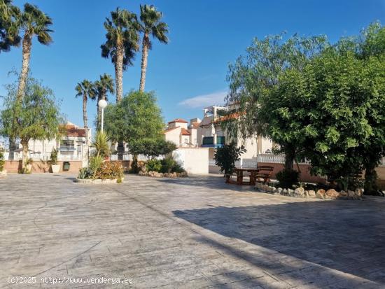 ORIHUELA COSTA BUNGALOW BAJO 2 HABS PISCINA 109.000 EUROS.... - ALICANTE