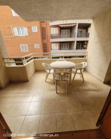 TORREVIEJA MUY CERCA PLAYA 2 HABS GRAN TERRAZA PISCINA 93.000 EUROS.. - ALICANTE