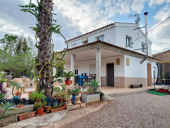  Casa con parcela en El Garruchal - MURCIA 