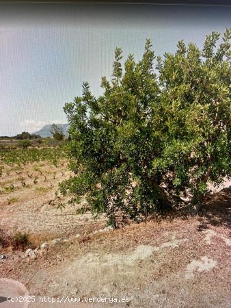 Se Vende en Benissa - ALICANTE