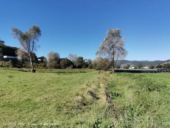 Terreno rustico - CANTABRIA