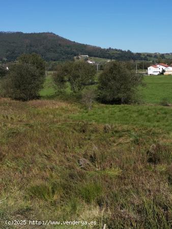 Terreno rustico - CANTABRIA