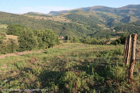 PARCELA RUSTICA EN VEGUILLA DE SOBA - CANTABRIA