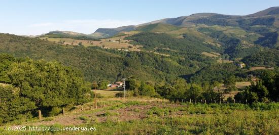 PARCELA RUSTICA EN VEGUILLA DE SOBA - CANTABRIA