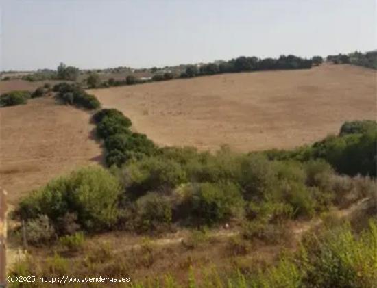 TERRENO EN VENTA EN PATRIA - CADIZ