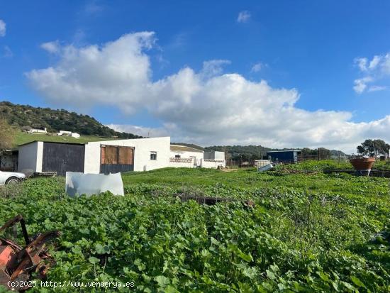 FINCA  RÚSTICA EN ZONA EL ALGAR, ENTRE VEJER DE LA FRONTERA Y MEDINA SIDONIA - CADIZ