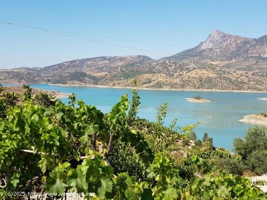 Venta de Finca en Zahara de la Sierra, Cádiz - CADIZ