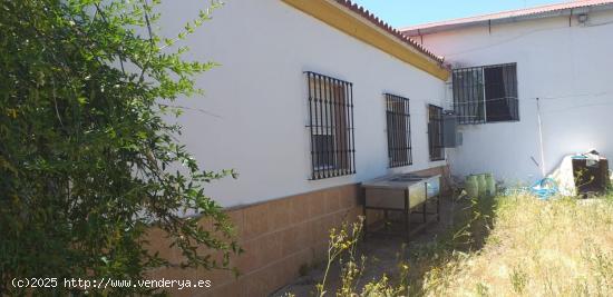 SE VENDE PARCELA CON NAVE EN VILLAMARTIN - CADIZ